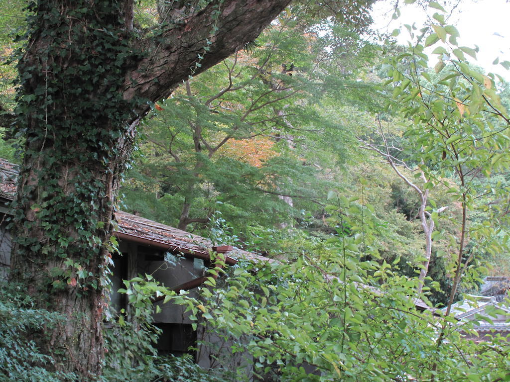 The Deer Park Inn Nara Room photo