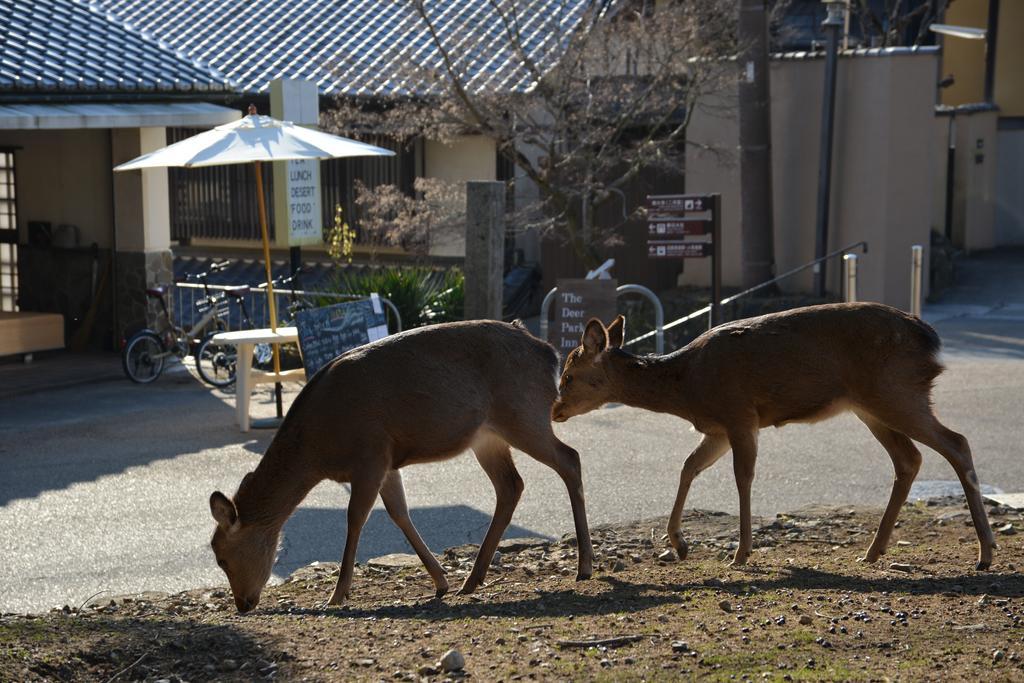 The Deer Park Inn Nara Exterior photo